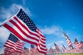 Field of American Flags