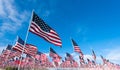 Field of American Flags Royalty Free Stock Photo