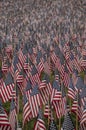 Field of American Flags 3 - vertical