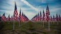 Field of American Flags to Honor Veterans on Memorial Day or Veterans Day. Concept American Flags,