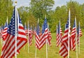 field of American flags waving in wind on Memorial Day weekend in Spring Royalty Free Stock Photo