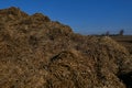 Field, arable land is prepared for sowing crops. In the background, far away forest, tractors plow Royalty Free Stock Photo