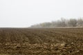 Field in autumn