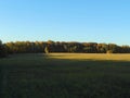 In the field in autumn. Royalty Free Stock Photo