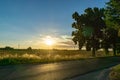 Field and avenue with trees - backlight during sunset Royalty Free Stock Photo