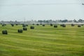 Field with bales of hay. Preparing hay for feeding animals. Newly beveled hay in bales on field Royalty Free Stock Photo