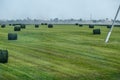 Field with bales of hay. Preparing hay for feeding animals. Newly beveled hay in bales on field Royalty Free Stock Photo