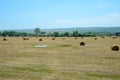 Field with bales of hay. Preparing hay for feeding animals. Newly beveled hay in bales on field Royalty Free Stock Photo