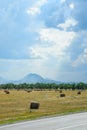 Field with bales of hay. Preparing hay for feeding animals. Newly beveled hay in bales on field Royalty Free Stock Photo