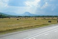 Field with bales of hay. Preparing hay for feeding animals. Newly beveled hay in bales on field Royalty Free Stock Photo