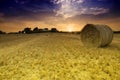 Field with Bales of Straw