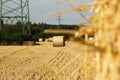 Field of bales of wheat Royalty Free Stock Photo