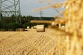 Field of bales of wheat