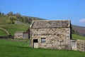 Field barns with fellside behind, Muker, Swaledale