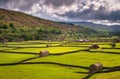 Field Barns at Gunnerside