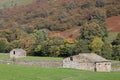 Field barns, Muker, Swaledale, Yorkshire Dales Royalty Free Stock Photo