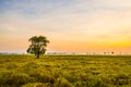 Field with beautiful sky3