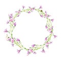 Field bells round frame with bee and butterfly hand-painted. Watercolor illustration of delicate flowers on white