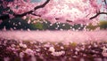 A field of blooming cherry blossoms