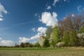 Field and blooming forest, white clouds on blue sky Royalty Free Stock Photo