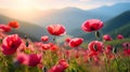 Field of blossoming poppy flowers in the mountains. AI generated image