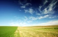 Field and blue cloudy sky