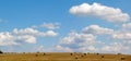 Field and blue sky Royalty Free Stock Photo