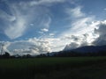 field with blue sky and lovely nature