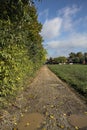 Field bordered by trees with a path that leads to a group of buildings on a cloudy day in the italian countryside Royalty Free Stock Photo