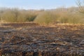 Field of a burnt grass