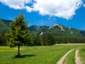 Field in Carpathian mountain Royalty Free Stock Photo