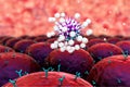 3D illustrations of virus and antibodies