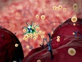 3D illustrations of virus and antibodies