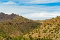 Field in the cliffs of tuscon arizona in sabino national park in late afternoon sun with fields of cactuses and plants Royalty Free Stock Photo