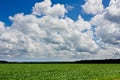 Field and clouds