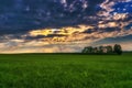 Field clouds trees summer sunset Sunray Royalty Free Stock Photo