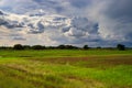 Field and cloudy sky moving clouds