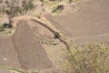 Field in the Colca Canon