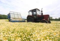 Field of colorField of colorful daisy with farm tractor in the backgroundful daisy with out of focus farm tractor in the backgrou