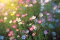 Field of colorful blooming cosmos flower in spring on morning Created with Generative AI technology