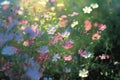 Field of colorful blooming cosmos flower in spring on morning Created with Generative AI technology