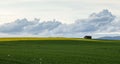 Field. Colza. Seeds. Spring. Oil. Stormy. Sky Royalty Free Stock Photo