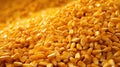 field corn pile Royalty Free Stock Photo