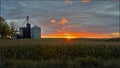 Field of cornstalks with silo at sunset Royalty Free Stock Photo