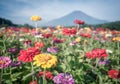 Field of cosmos flowers and Mountain Fuji Royalty Free Stock Photo