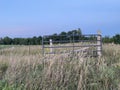 FIELD IN THE COUNTRY IN NORTHERN ONTARIO.