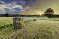 Field in the countryside filled with straw bales Royalty Free Stock Photo