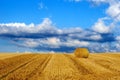 Field covered in dry grass surrounded by haystacks under a blue cloudy sky Royalty Free Stock Photo