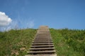 Field covered in grass and trees with wooden stairs under a blue sky and sunlight Royalty Free Stock Photo