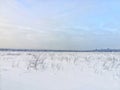 the field is covered with snow, in winter everything is white